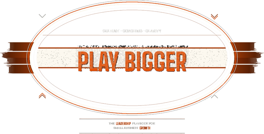 Play Bigger book cover